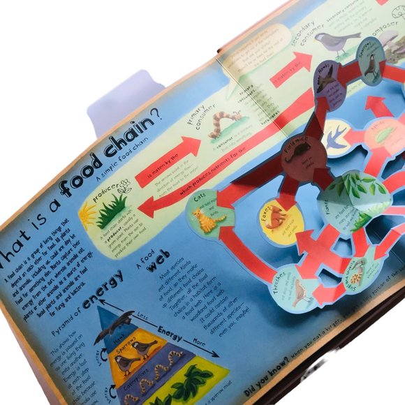 HOW THE WORLD WORKS :A Hands-on Guide To Our Amazing Planet Pop-up Book - Picture 5 of 6